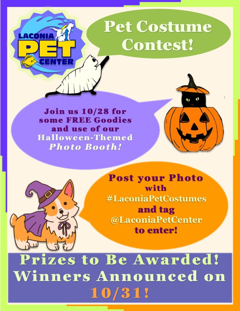 Halloween Photo contest