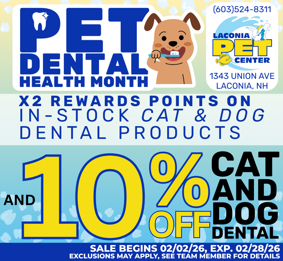 Pet Dental Health Month