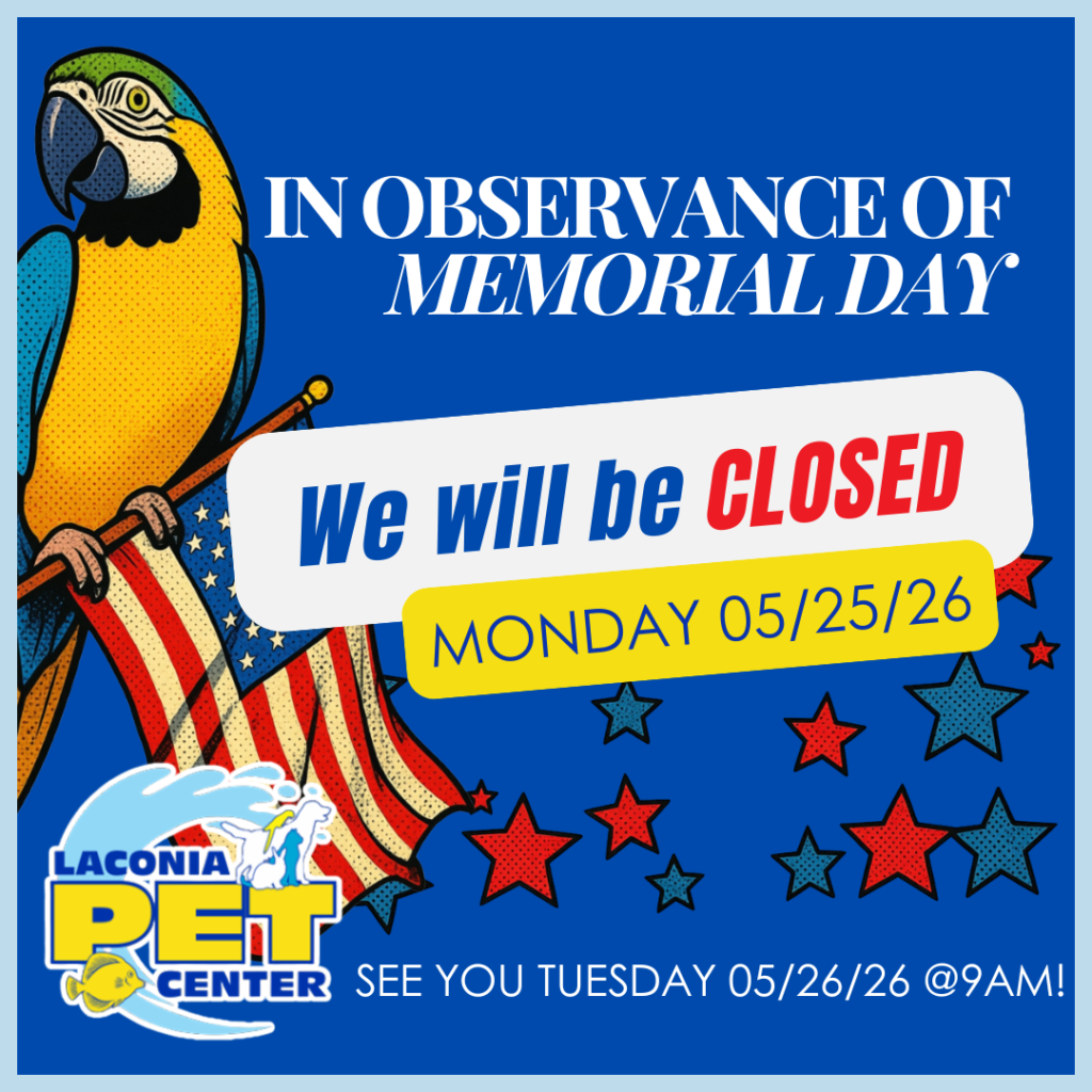 Closed Memorial Day