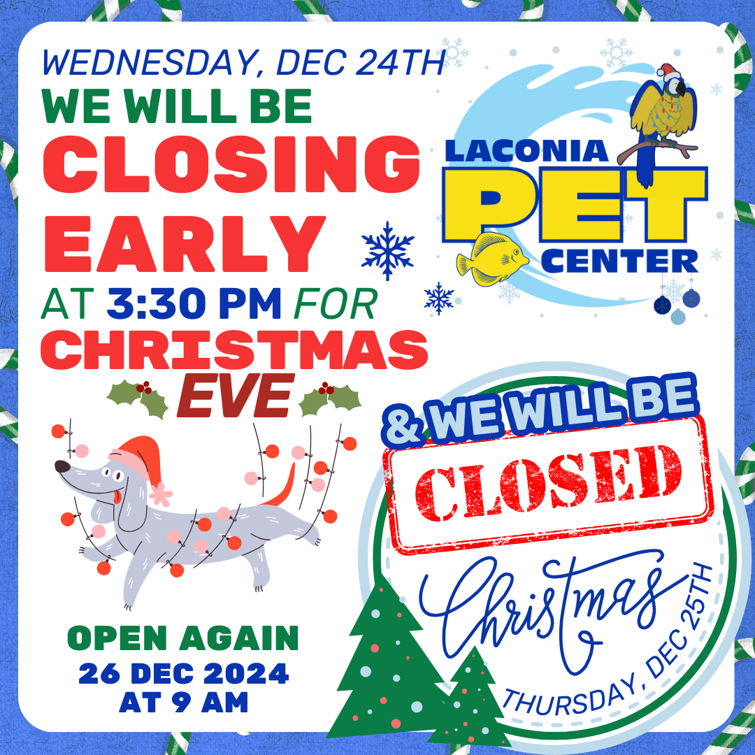 We are closing early christmas eve!