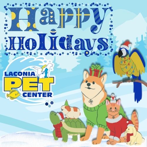 Happy Holidays from Laconia Pet center