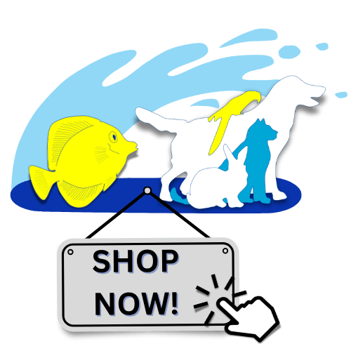SHOP NOW!